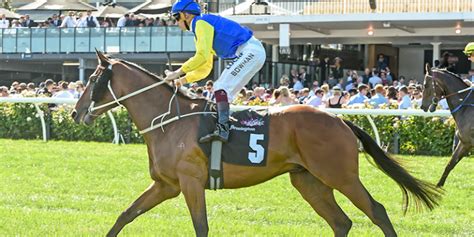 cantala stakes field|Champions Mile Betting Guide 2024 .